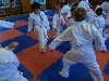 110620_pt_7-14_011.jpg