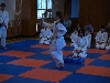 110620_pt_7-14_055.jpg