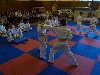 110621_pt_8kyu_192.jpg