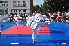 110901_japonske_odpoledne_003.jpg