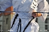 110901_japonske_odpoledne_050.jpg