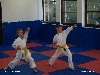 110911_paskovani_002.jpg