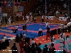 111008_egp_plzen_001.jpg