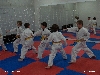 120228_paskovani_081.jpg