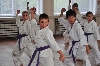 120721_nekor2_paskovani_043.jpg