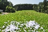 Fotogalerie