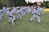120721_nekor2_spol_treninky_035.jpg