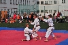 Fotogalerie