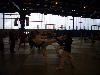 121121_ms_pariz_005.jpg