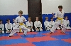 130210_paskovani_030.jpg