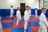 130602_paskovani_007.jpg