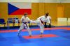 130609_mcr_skif_048.jpg