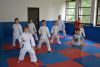 130623_paskovani_001.jpg