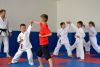 130623_paskovani_005.jpg