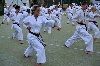 130803_nekor_spoltr_008.jpg
