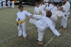 130803_nekor_spoltr_023.jpg