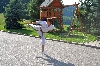 Fotogalerie