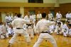 140404_seminar_skif_015.jpg