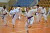 140531_seminar_kata_027.jpg