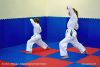 140608_paskovani_013.jpg