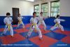 140608_paskovani_022.jpg