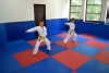 140622_paskovani_031.jpg