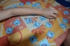 140810_nekor_3den_035.jpg