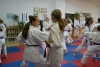 140810_nekor_5den_120.jpg