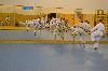 1408193_soustredenihk_043.jpg
