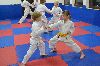 150118_paskovani_027.jpg
