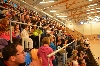 150418_vyrocni_ukazky_071.jpg