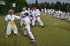 150816_nekor_001.jpg