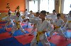 150817_nekor_029.jpg