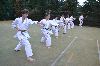 150820_nekor_100.jpg