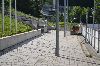 150820_nekor_111.jpg
