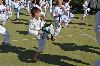 150821_nekor_001.jpg