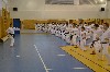Fotogalerie