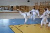 Fotogalerie