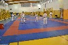 160109_skoleni_rozhodcich_skif_006.jpg