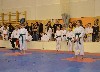 160110_novorocni_turnaj_skif_079.jpg