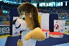 160430_gphk_104.jpg