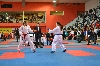 Fotogalerie