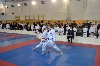 170115_nt_050.jpg