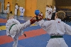Fotogalerie