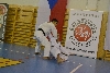 170922_murakami_044.jpg