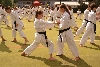 170812_nekor_den2_062.jpg