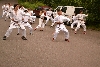 170812_nekor_den2_182.jpg