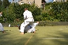 170812_nekor_den3_175.jpg