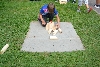 170812_nekor_den4_072.jpg