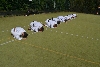 170812_nekor_den5_040.jpg